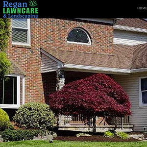 Regan Lawn Care